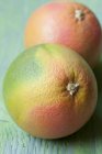 Fresh ripe grapefruits — Stock Photo