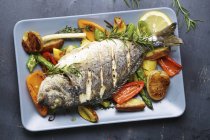 Gilt-head bream with rosemary on a bed of oven-roasted vegetables — Stock Photo