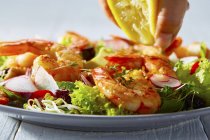 Salade de crevettes sur assiette — Photo de stock