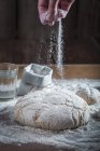 Unbaked wholemeal bread — Stock Photo