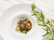 Petto di quaglia con asparagi su piatto bianco — Foto stock