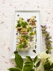 Asparagi marinati tiepidi con ravanello, uova e fiori di sambuco su piatto bianco su superficie di legno — Foto stock