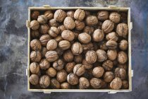 Italian walnuts in a crate — Stock Photo