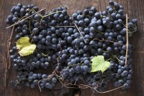 Schwarze Trauben mit Weinblättern — Stockfoto