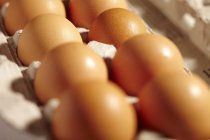 Frische Eier aus dem Landkreis Lancaster — Stockfoto