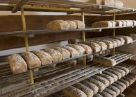 Assorted loaves cooling on wooden shelves — Stock Photo