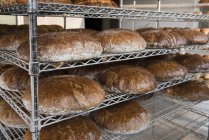 Loaves of Graham bread — Stock Photo