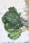 Fresh kale leaves — Stock Photo