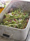 Marinata con erbe e cipolle — Foto stock