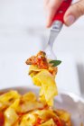 Pappardelle pasta con salsa de tomate y atún - foto de stock