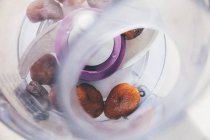 Vue rapprochée des fruits secs dans un mélangeur — Photo de stock