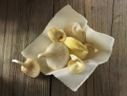 Champignons de l'huître dorée — Photo de stock