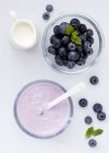 Frische Blaubeeren und Beerenjoghurt, — Stockfoto