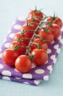 Ramo de tomates cherry - foto de stock