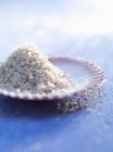 Sea salt in scallop's shell — Stock Photo