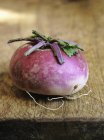 Fresh purple Turnip — Stock Photo