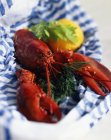 Vista close-up de lagosta vermelha com ervas e limão em pano — Fotografia de Stock