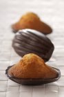 Baked Chocolate madeleines — Stock Photo