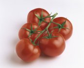 Racimo rojo de tomates frescos - foto de stock