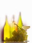 Вино в бутылках и стекле — стоковое фото