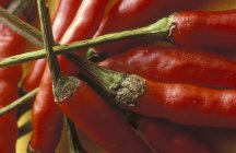 Pimentas vermelhas frescas — Fotografia de Stock