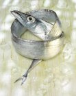 Риба свіжа піхов — стокове фото