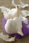 Fresh Garlic head — Stock Photo
