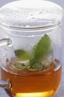 Vista de primer plano de la taza de vidrio tapado de infusión de té con hojas de menta - foto de stock