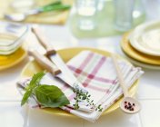 Closeup view of herbs with cutlery and crockery — Stock Photo
