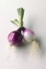 Red raw onions — Stock Photo