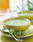 Крем из цуккини и супа из кориандра — стоковое фото