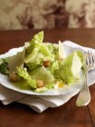 Parmesanflocken und Salat — Stockfoto