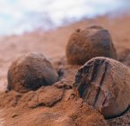 Chocolate truffles on powder — Stock Photo