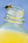 Bee on top of bottle — Stock Photo