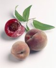 Fresh Wild peaches with leaves — Stock Photo