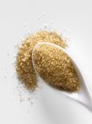 Cuillère de sucre brun non raffiné — Photo de stock