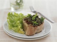 Тунец-гриль со свежим салатом — стоковое фото