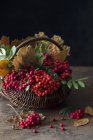 Rowan berries and autumn leaves — Stock Photo