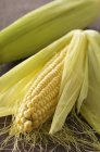 Corn on cob on wooden — Stock Photo