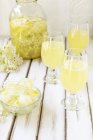Домашнє цвітіння бузини лимонаду — стокове фото