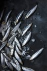 Spratti freschi in mucchio su cubetti di ghiaccio — Foto stock