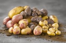 Haufen mit verschiedenen Kartoffeln — Stockfoto
