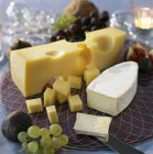 Sélection de fromages de vache — Photo de stock