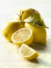 Свежие лимоны и грейпфрут — стоковое фото