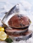 Bistecche di tonno rosso — Foto stock