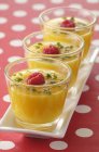 Mango soup with raspberries in glasses over small plate — Stock Photo
