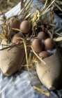 Свежие яйца и солома — стоковое фото