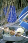 Rouleaux de pâtisserie remplis de poulet sur des brochettes sur un bol de pique-nique — Photo de stock