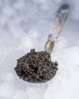 Caviar noir sur cuillère en nacre — Photo de stock