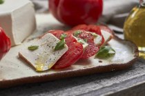 Mozzarella Vegan com tomates — Fotografia de Stock